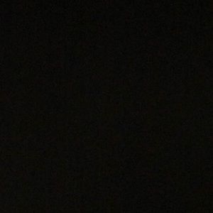 Meet your Posher, Shayna